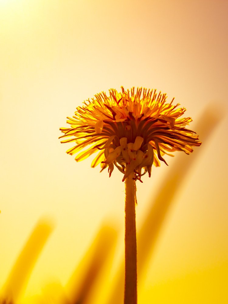 Photograph by Сергей Кочетов