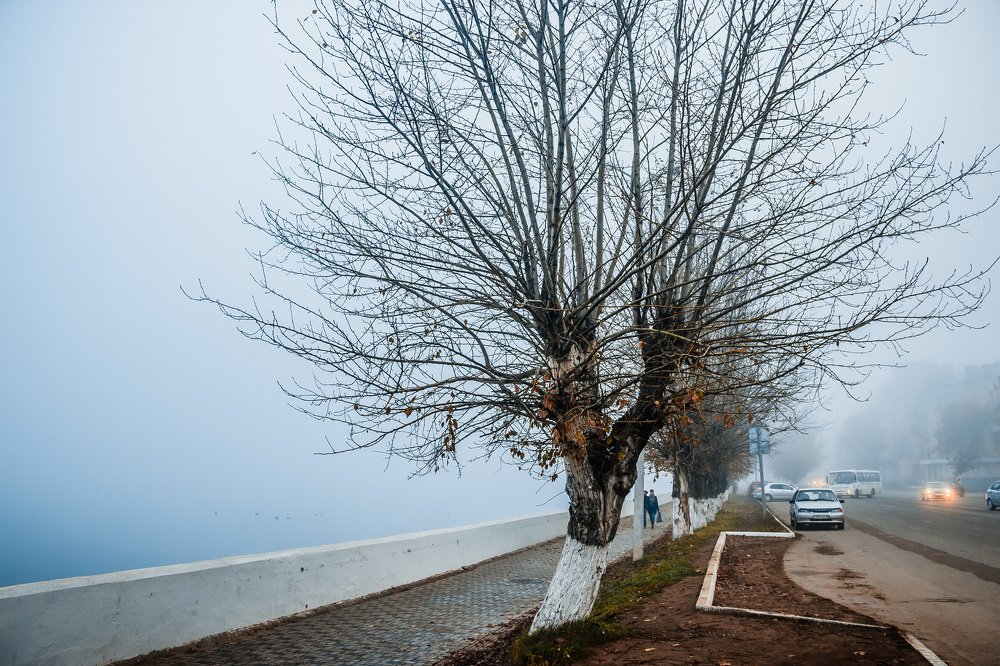 Фотография автора Надежда Саблина