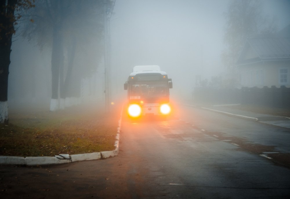 Фотография автора Надежда Саблина