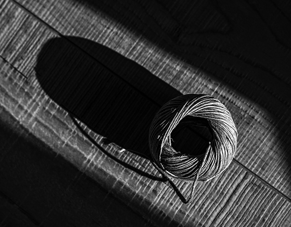 Photograph by Rita Kapitulski