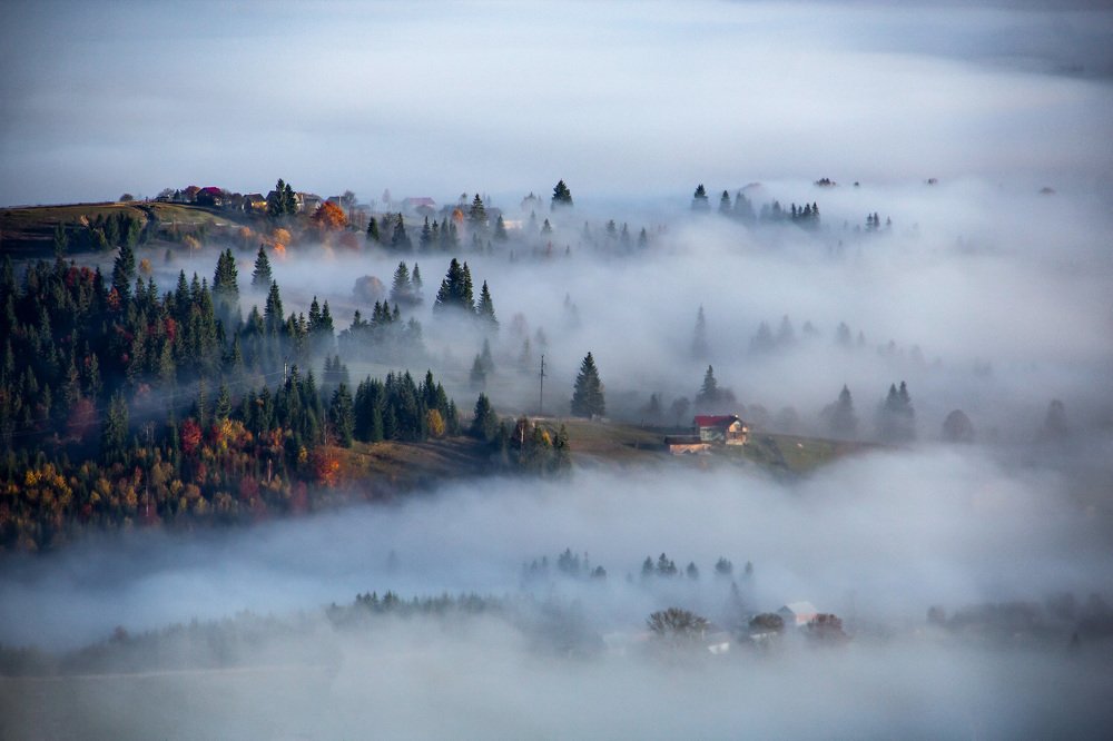 Photograph by Надя Гануляк