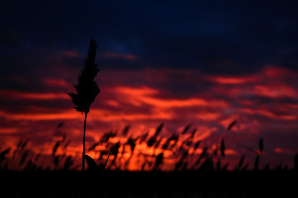 Photograph by Владислав Богаткин