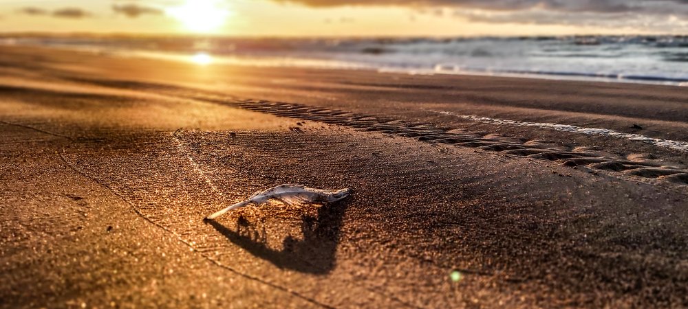 Росчерком пера