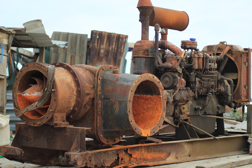 Photograph by Елена Кузьмищева