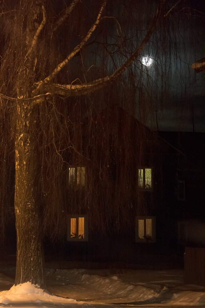 Photograph by Ершов Сергей