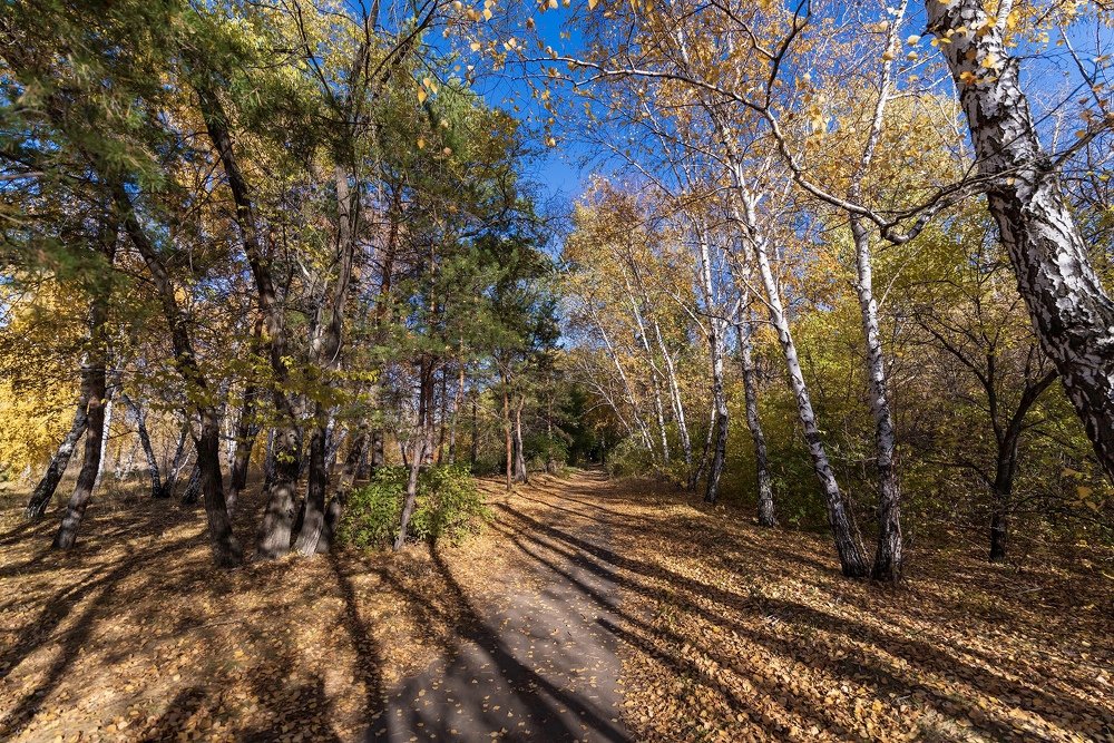 Photograph by Дмитрий Шерстнев