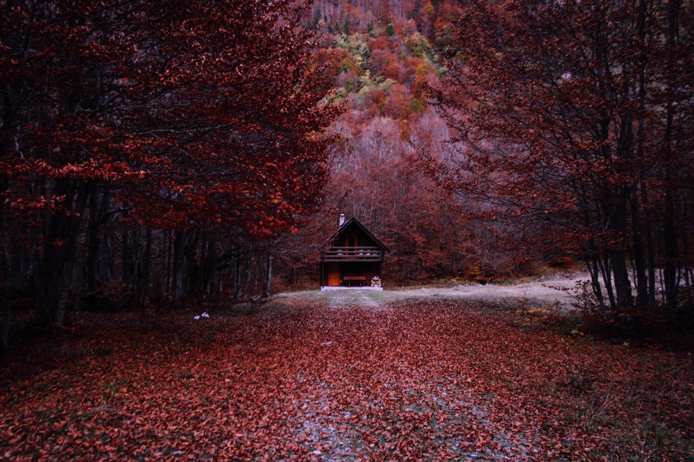 Фотография автора Катерина Белоусова