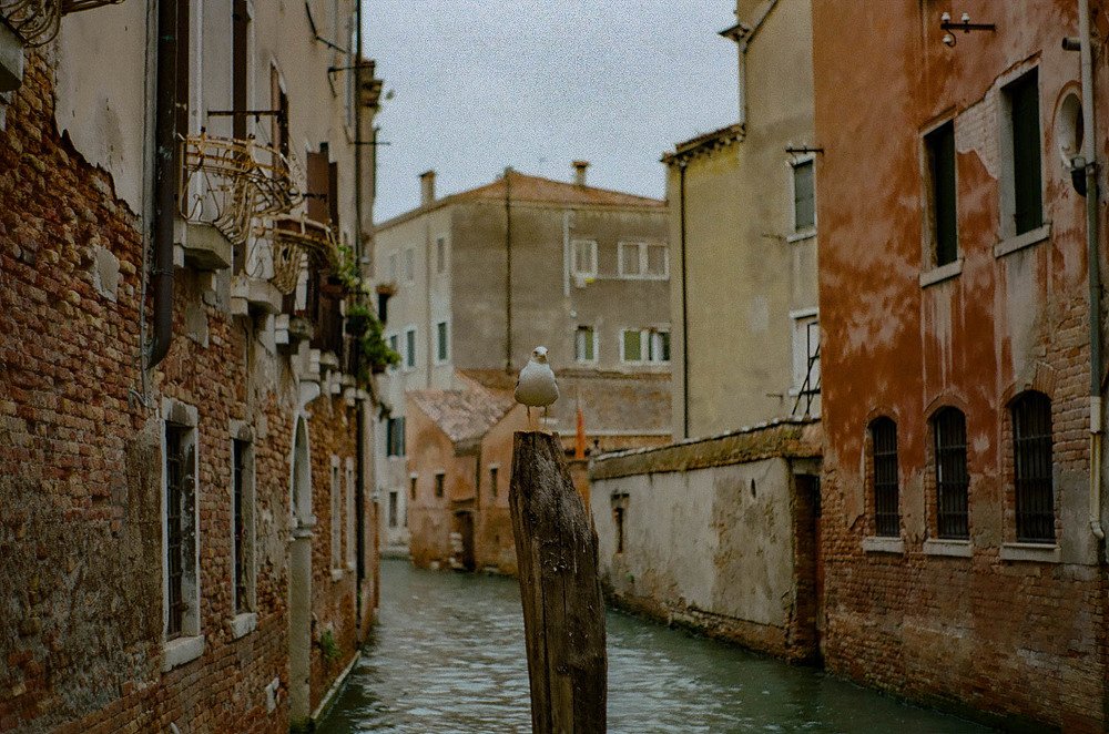 Canals of Venice and his inhabitants
