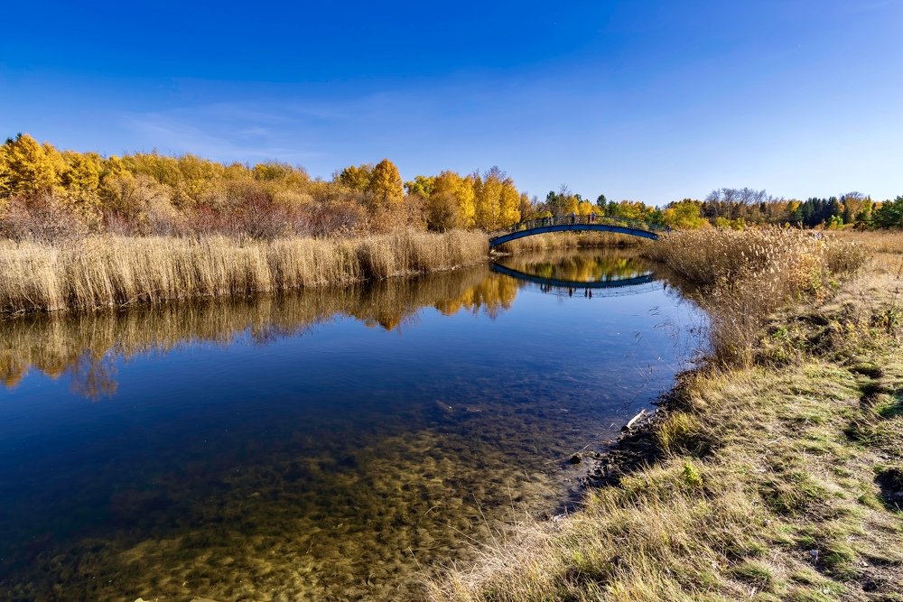 Photograph by Дмитрий Шерстнев