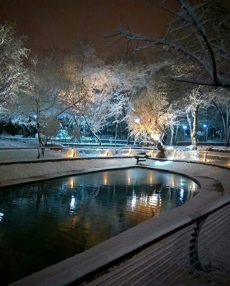 Photograph by Mahdi Mojaver