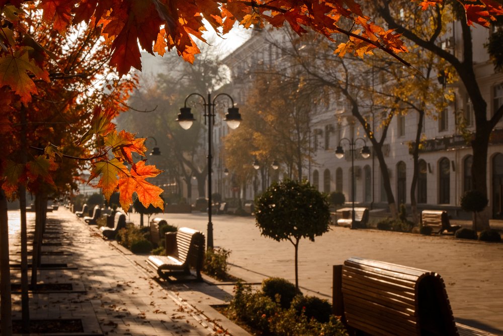 Photograph by Алена Про