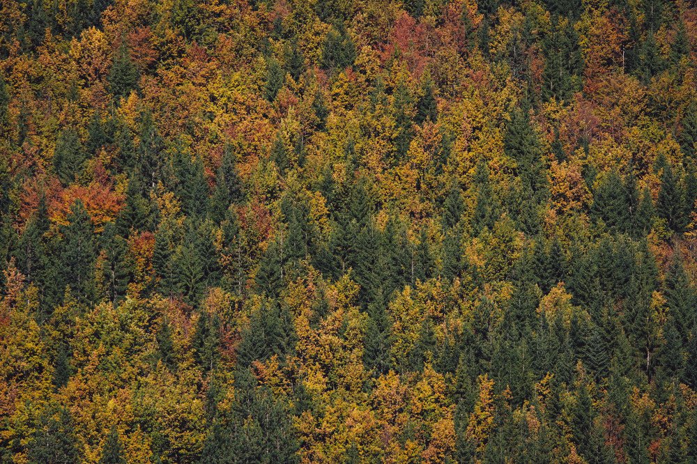 Фотография автора Катерина Белоусова