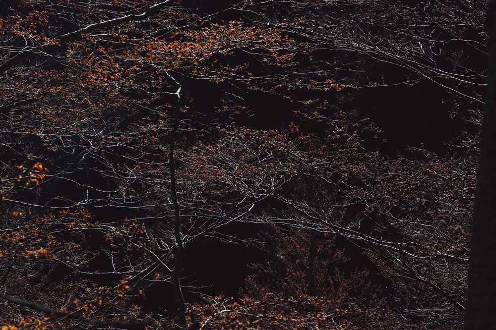 Фотография автора Катерина Белоусова