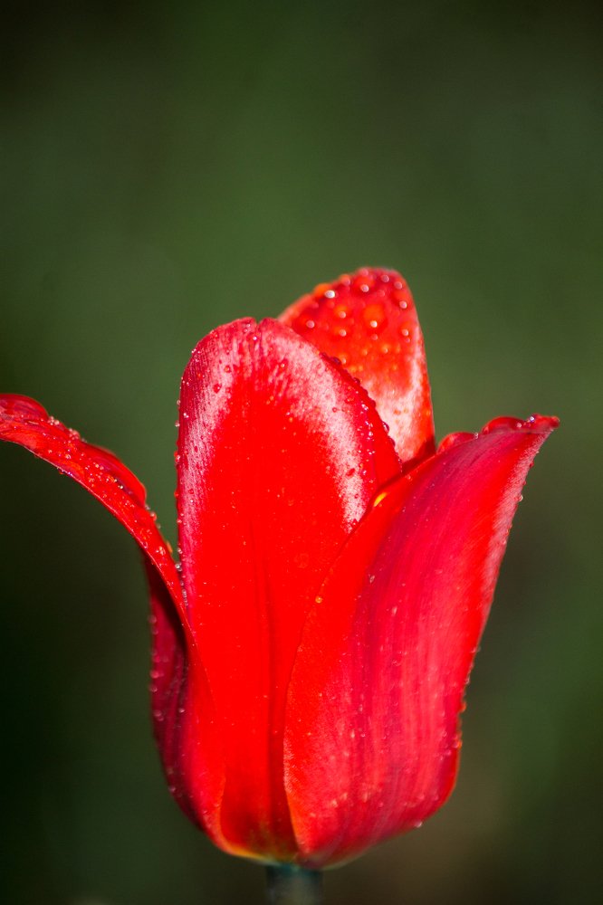 Photograph by Татьяна Новикова