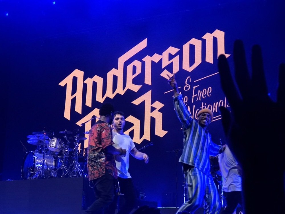 Photograph by Timea Kovacs