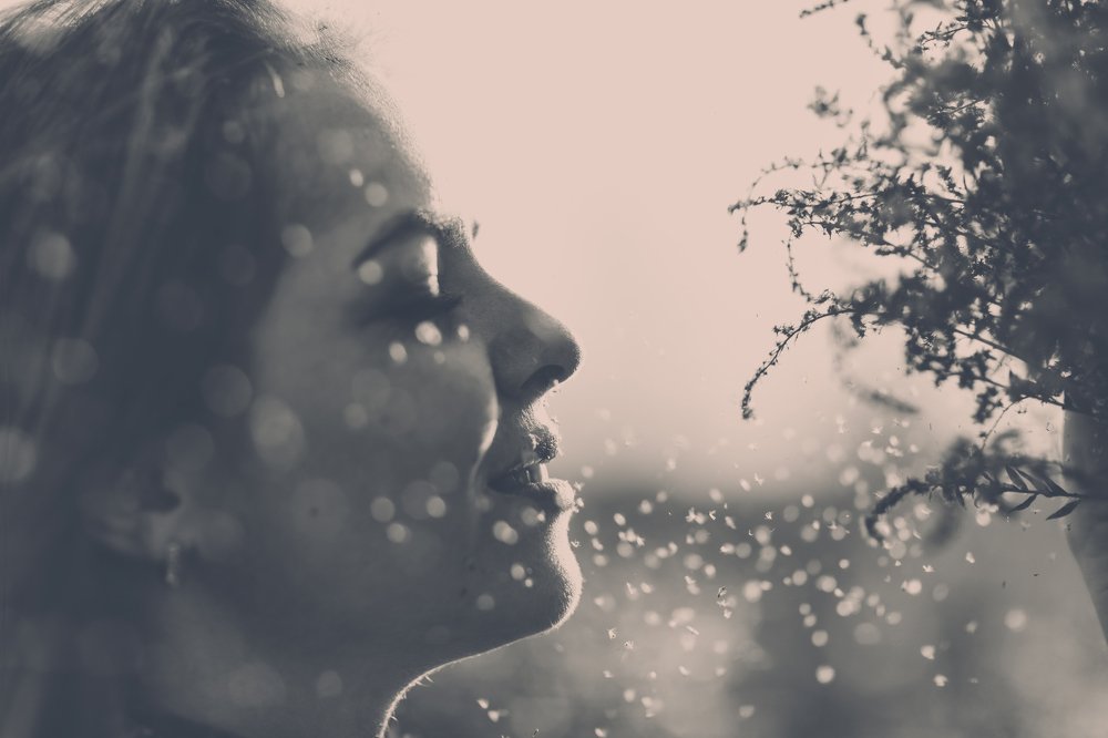 Photograph by Katrin Loginova