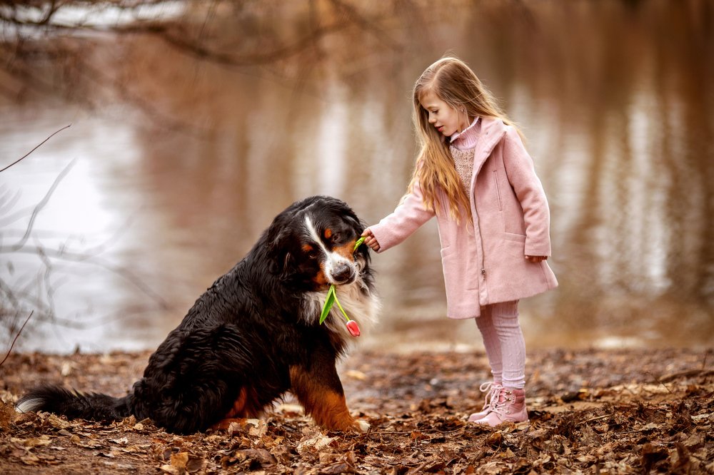 Photograph by Надья Васильчук