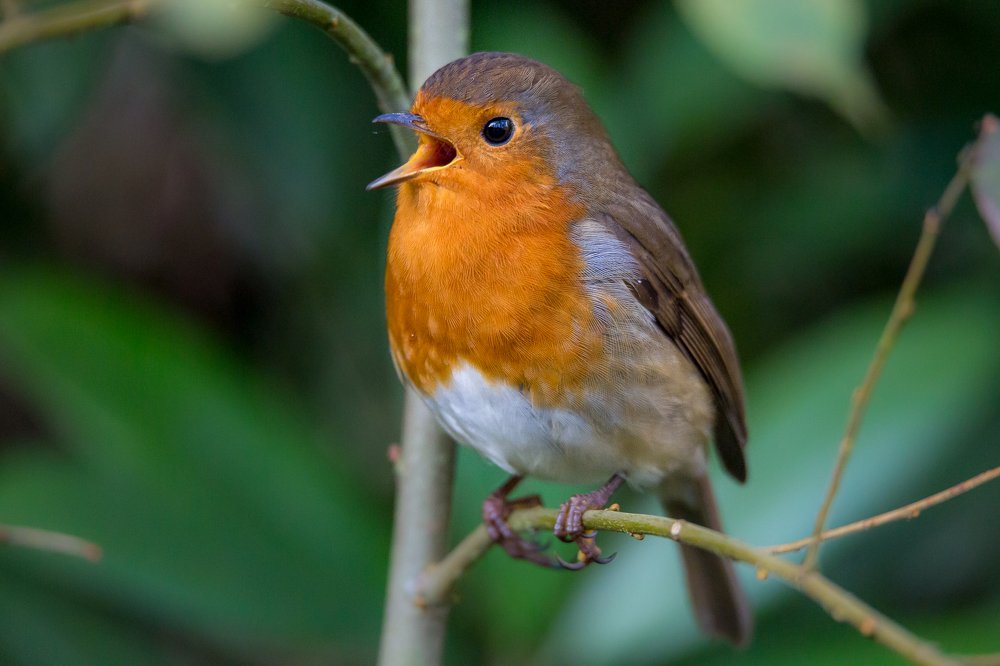 Photograph by Marcin Mirek