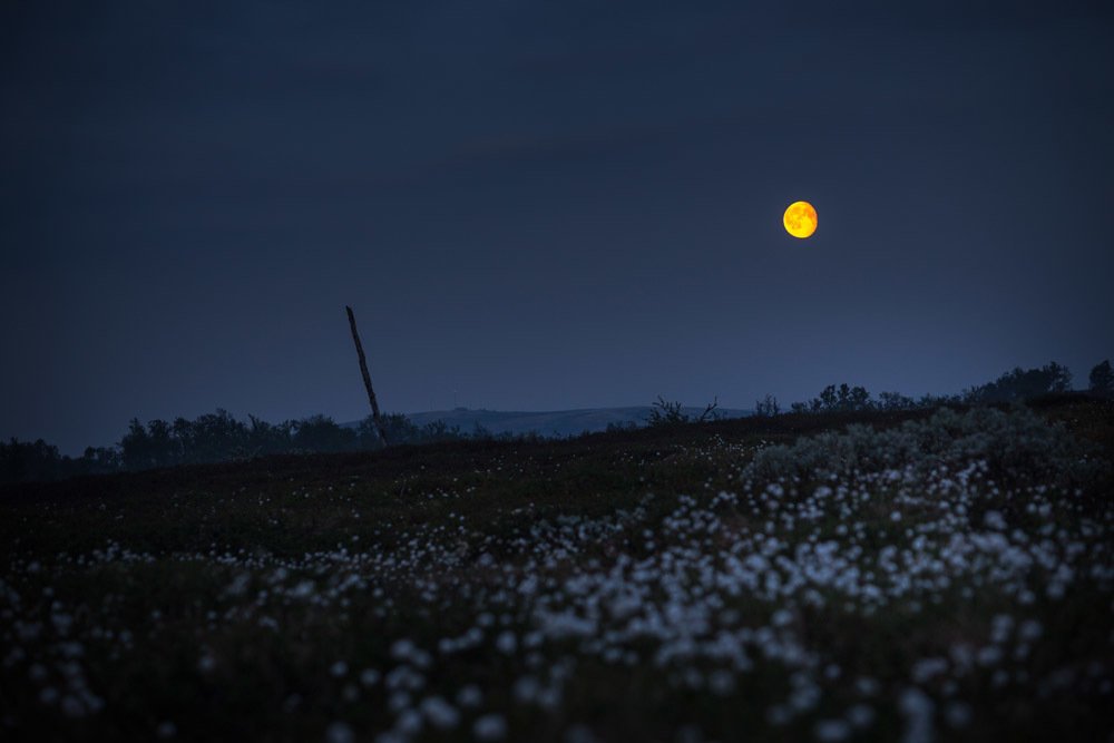 Photograph by Adrian Szatewicz