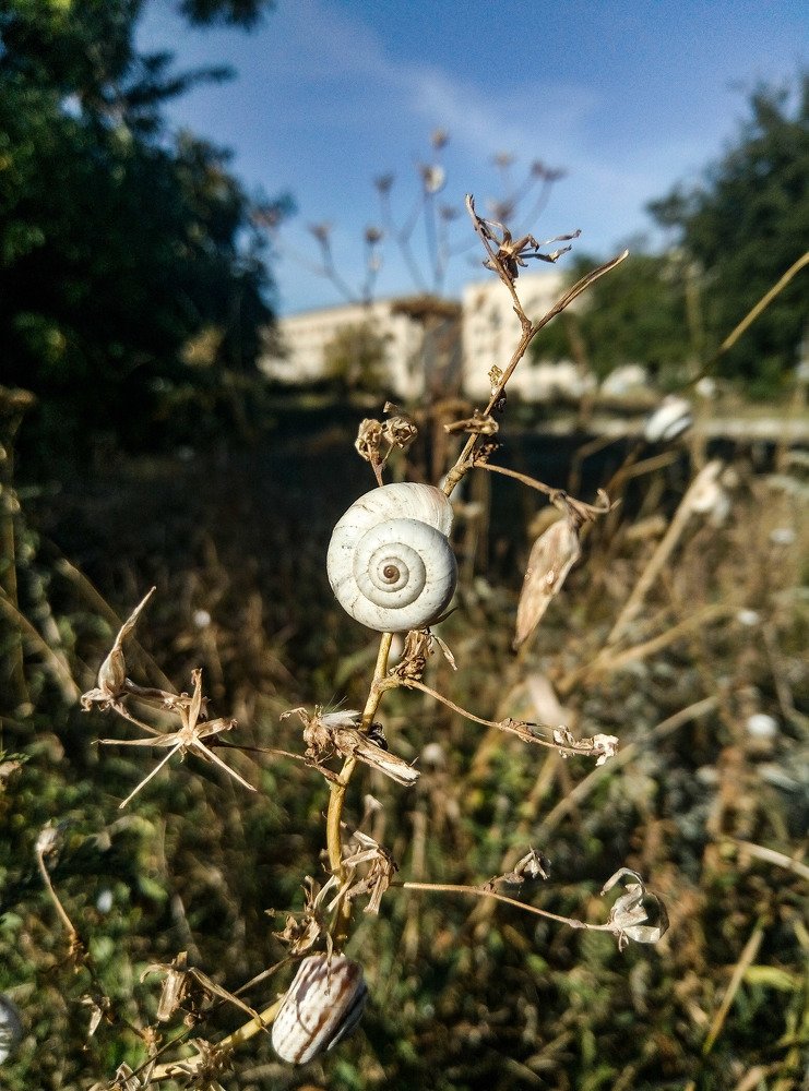 Photo #3822825