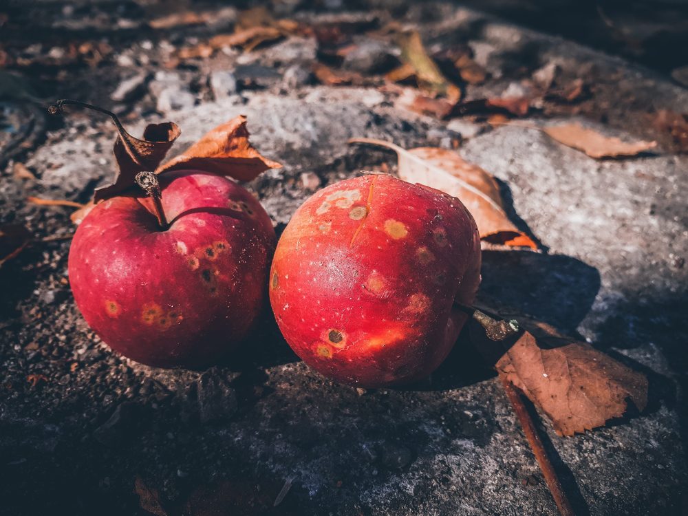 Photograph by Бистра Стоименова