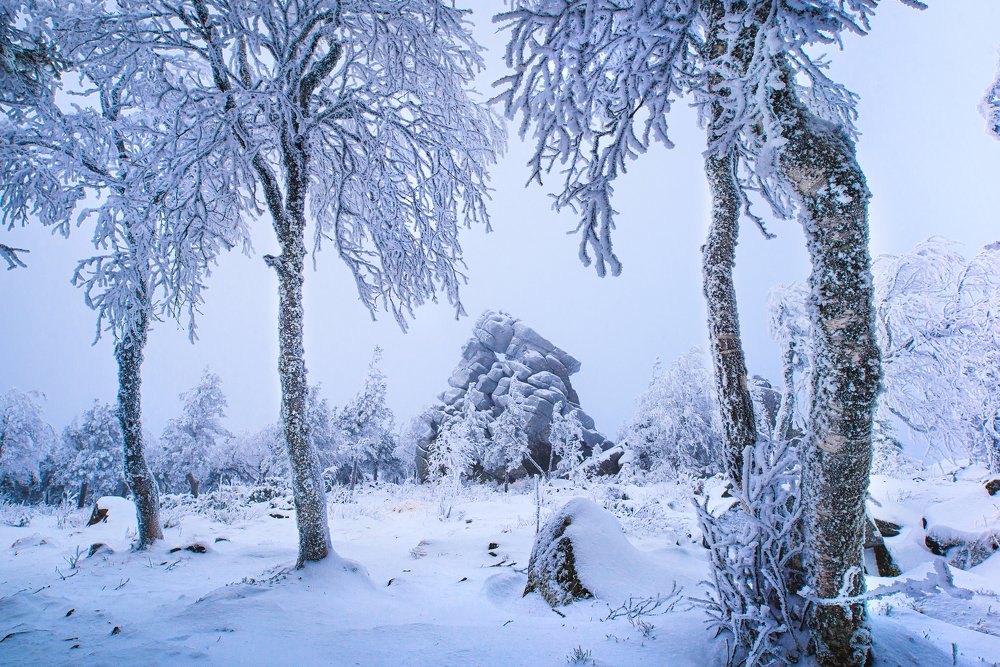 Photograph by Andrey Chuntomov