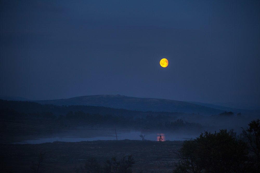 Photograph by Adrian Szatewicz