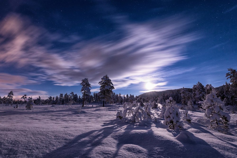 Photograph by Adrian Szatewicz