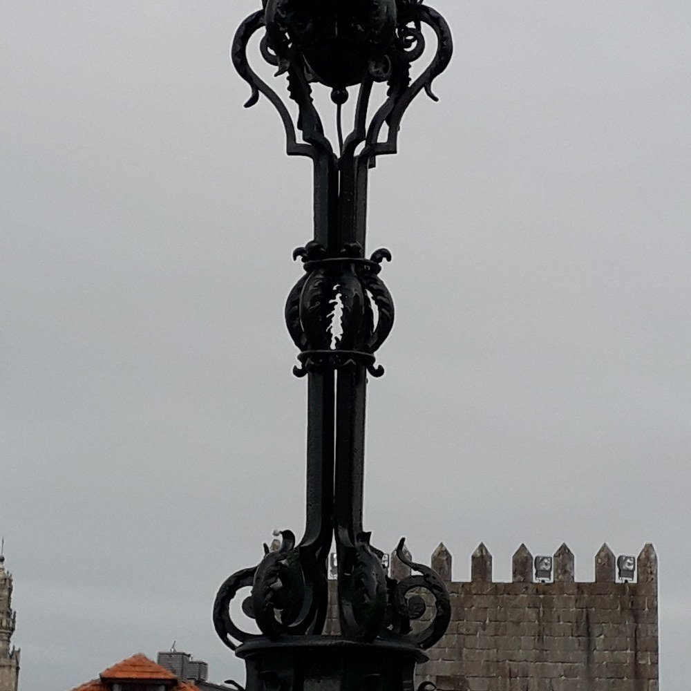 Photograph by zelia mota