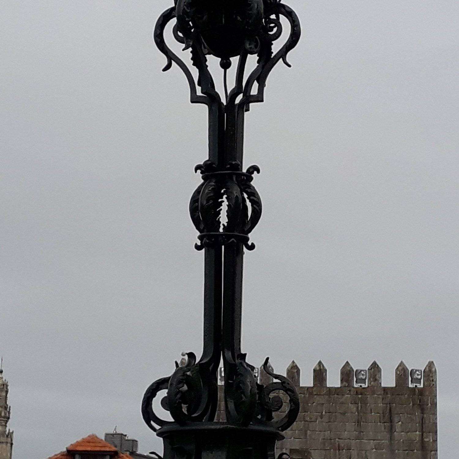 Photo #3822952