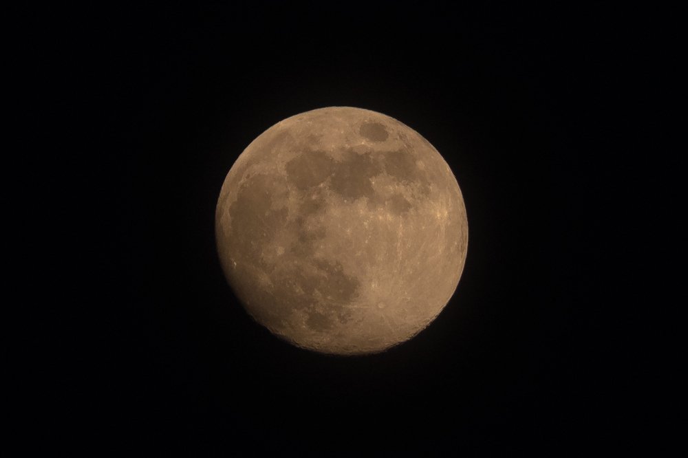 Фотография автора Дмитрий Рудь