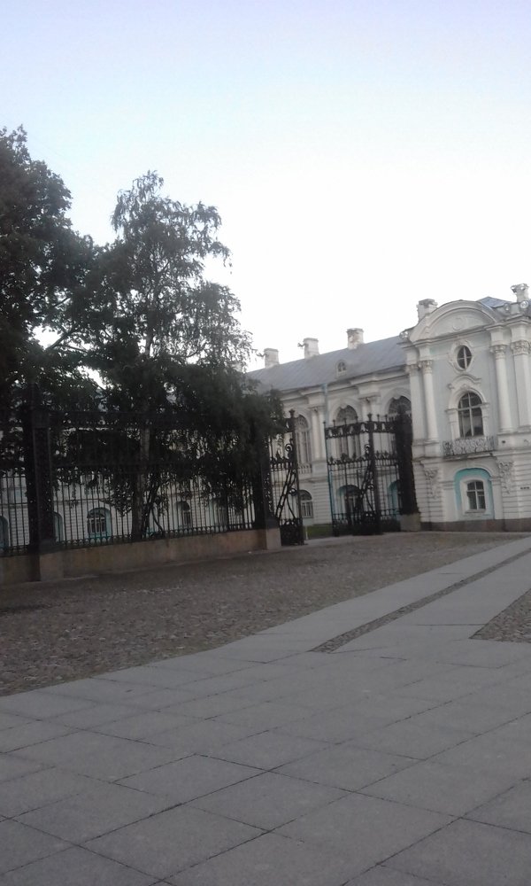 Photograph by маргарита шмелева