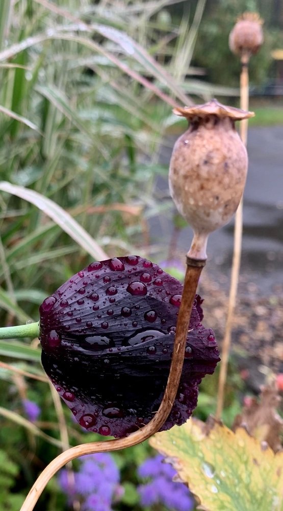 Photograph by Светлана Хохлова