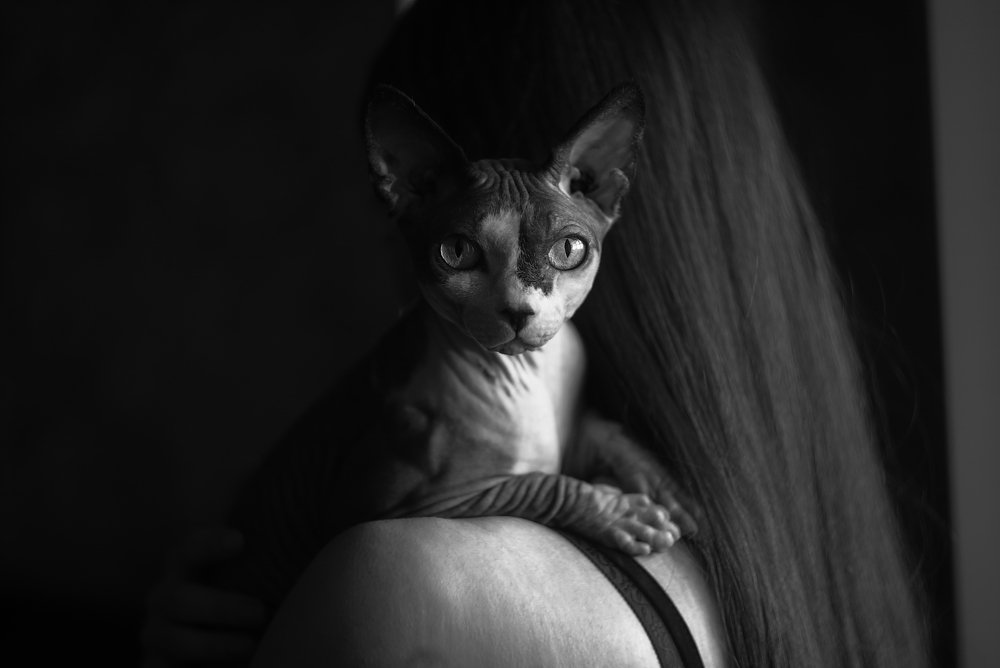 Photograph by Александр Зыков