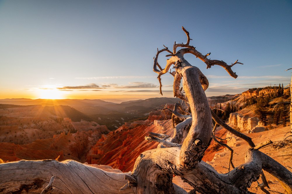 Photograph by Daria Osipova