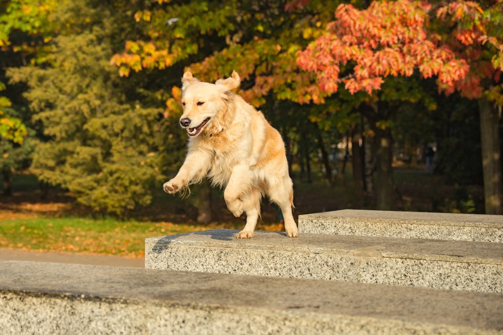 Photograph by Анастасия Мельник