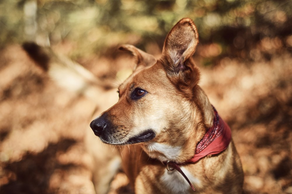 Photograph by Tjaša Završnik