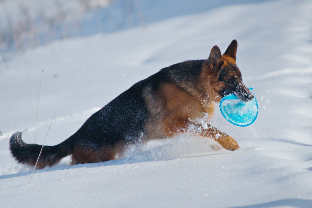 Photograph by Людмила Ефремова