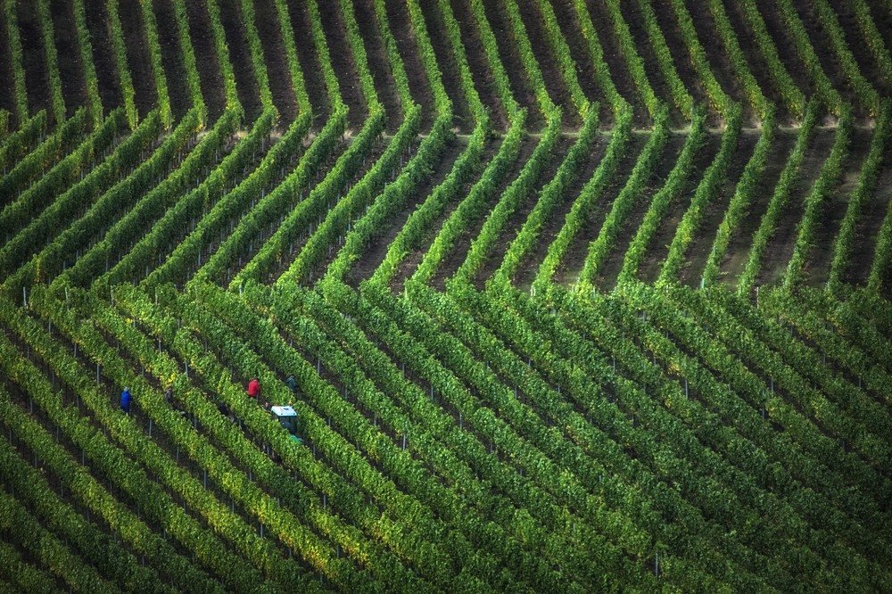 Photograph by Guy Krier