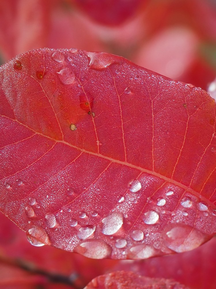 Photograph by Сергей Пермин