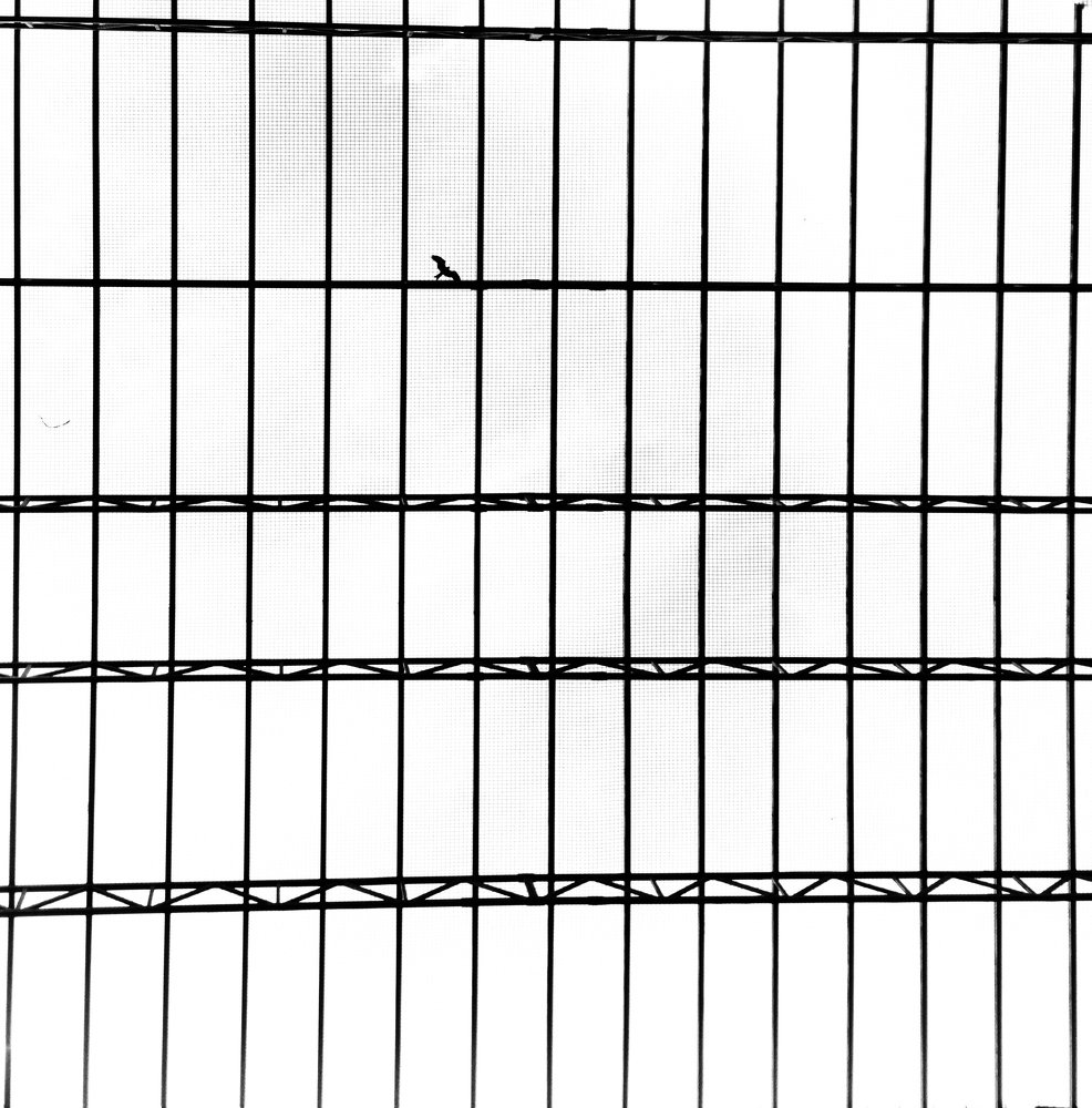 Photograph by  Asamanj Maiti