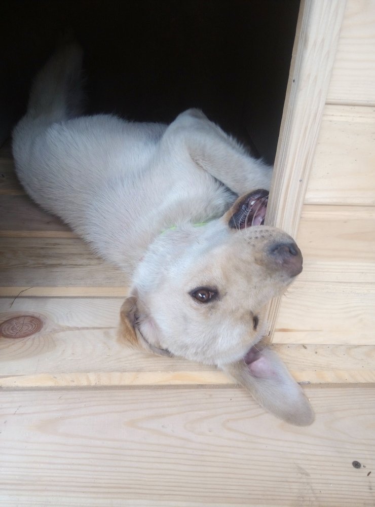 Photo #3823626