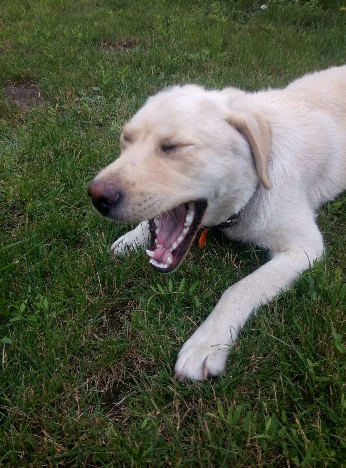 Photo #3823628