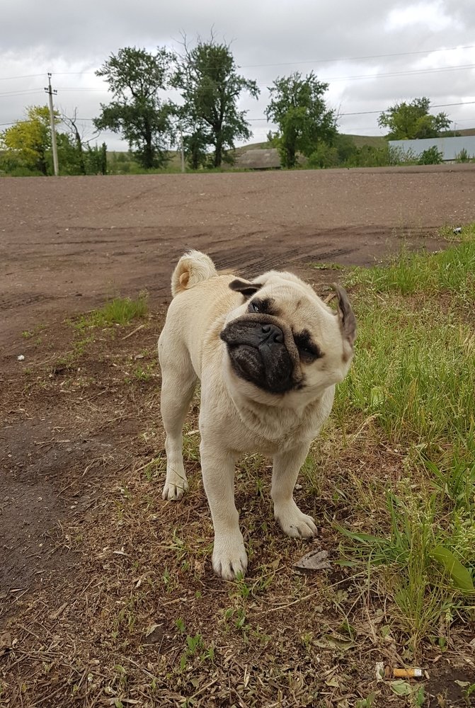 Не могу это больше слышать