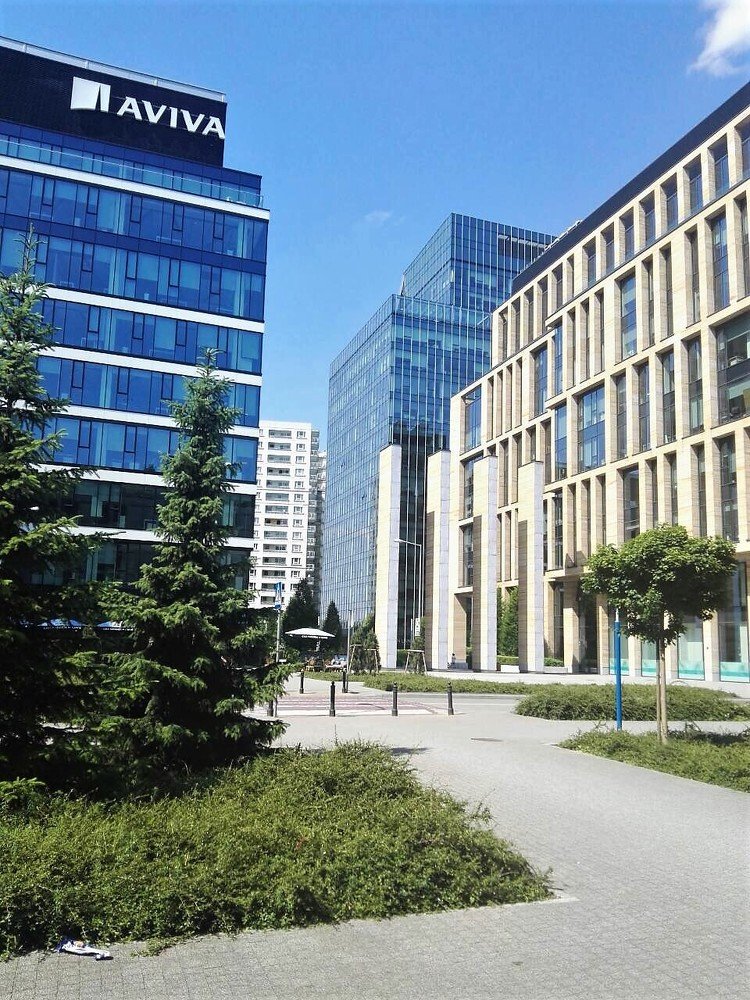 Photograph by Viktoriia Shtefanesa