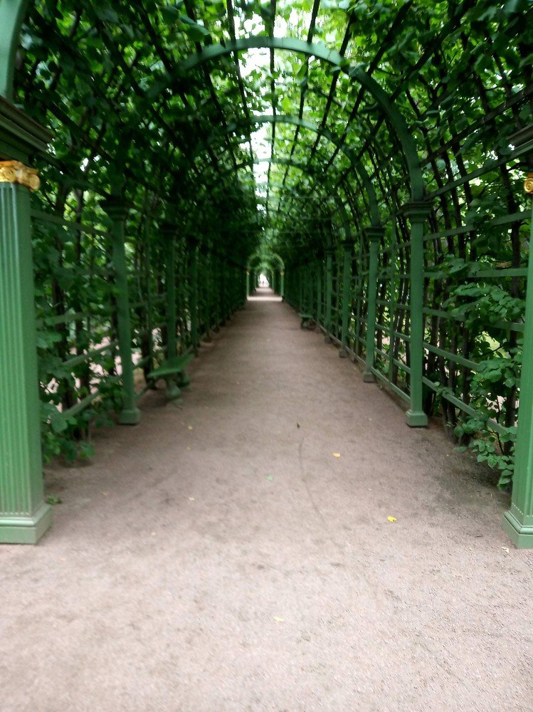 Photograph by Лариса Капустина