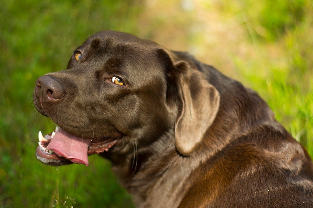 Photograph by Julija JKv