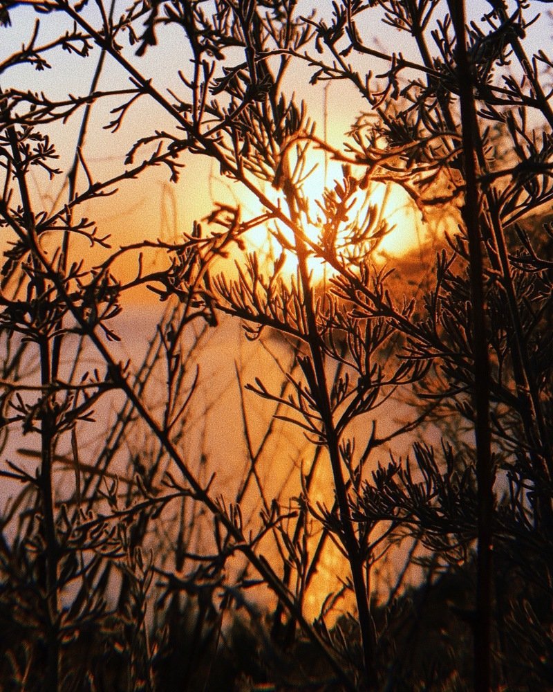 Photograph by Лилия Чебунина