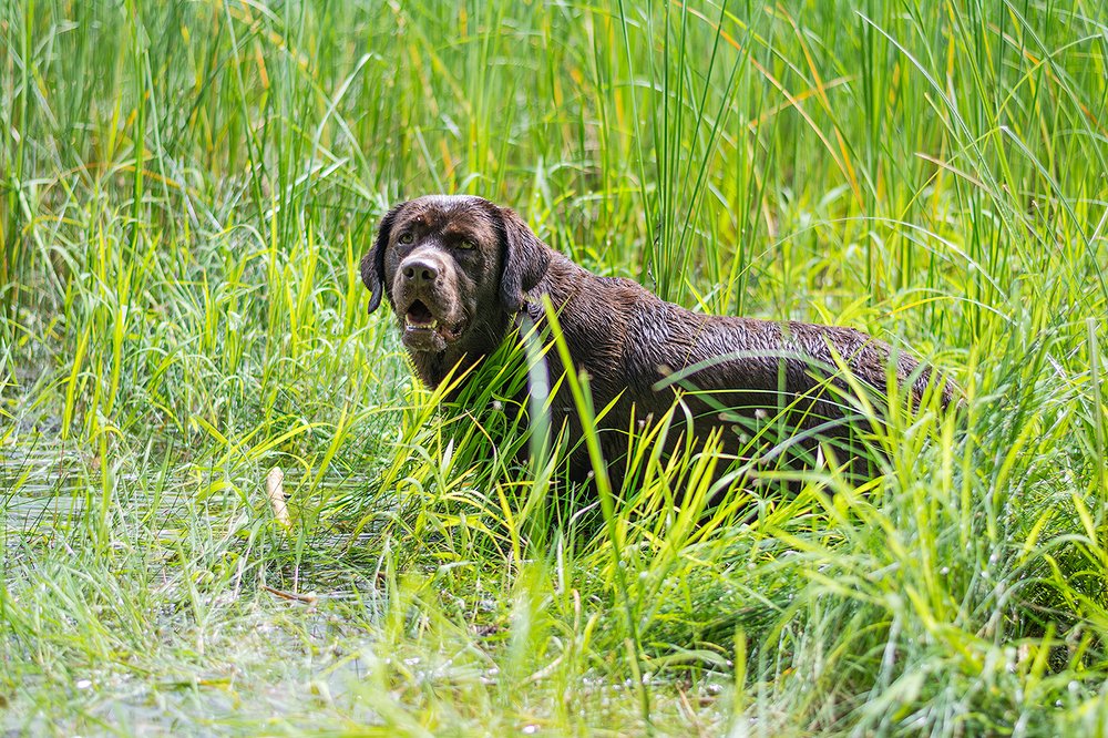 Photograph by Julija JKv