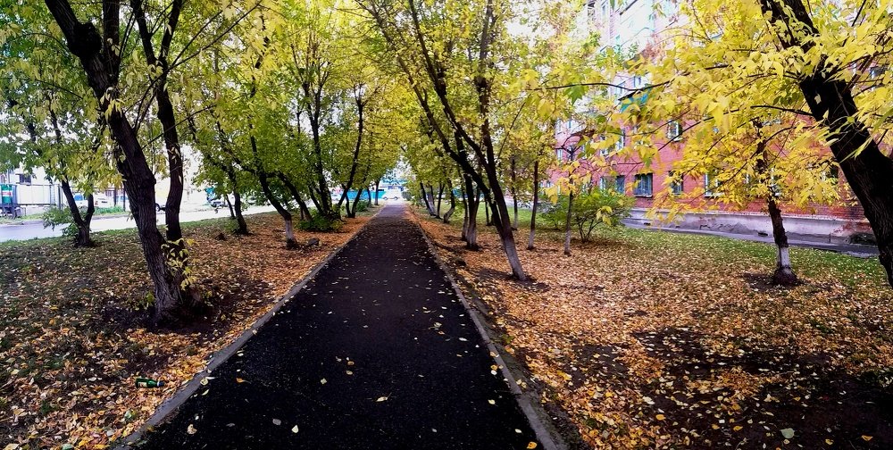 Photograph by Марьясова Анна